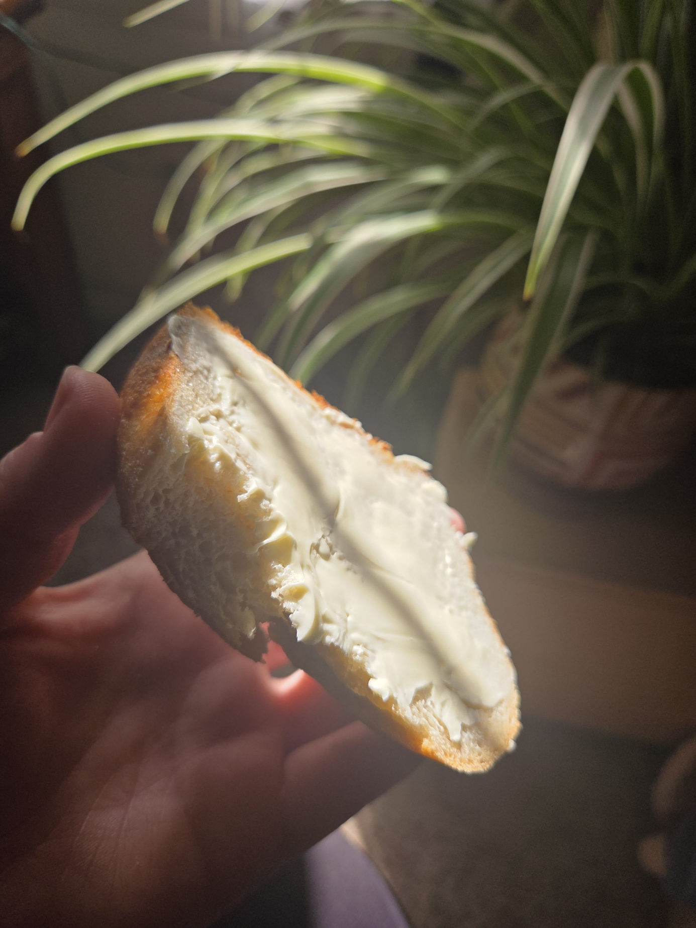 HappyDough: A Sourdough Microbakery — photo from hotplate.com