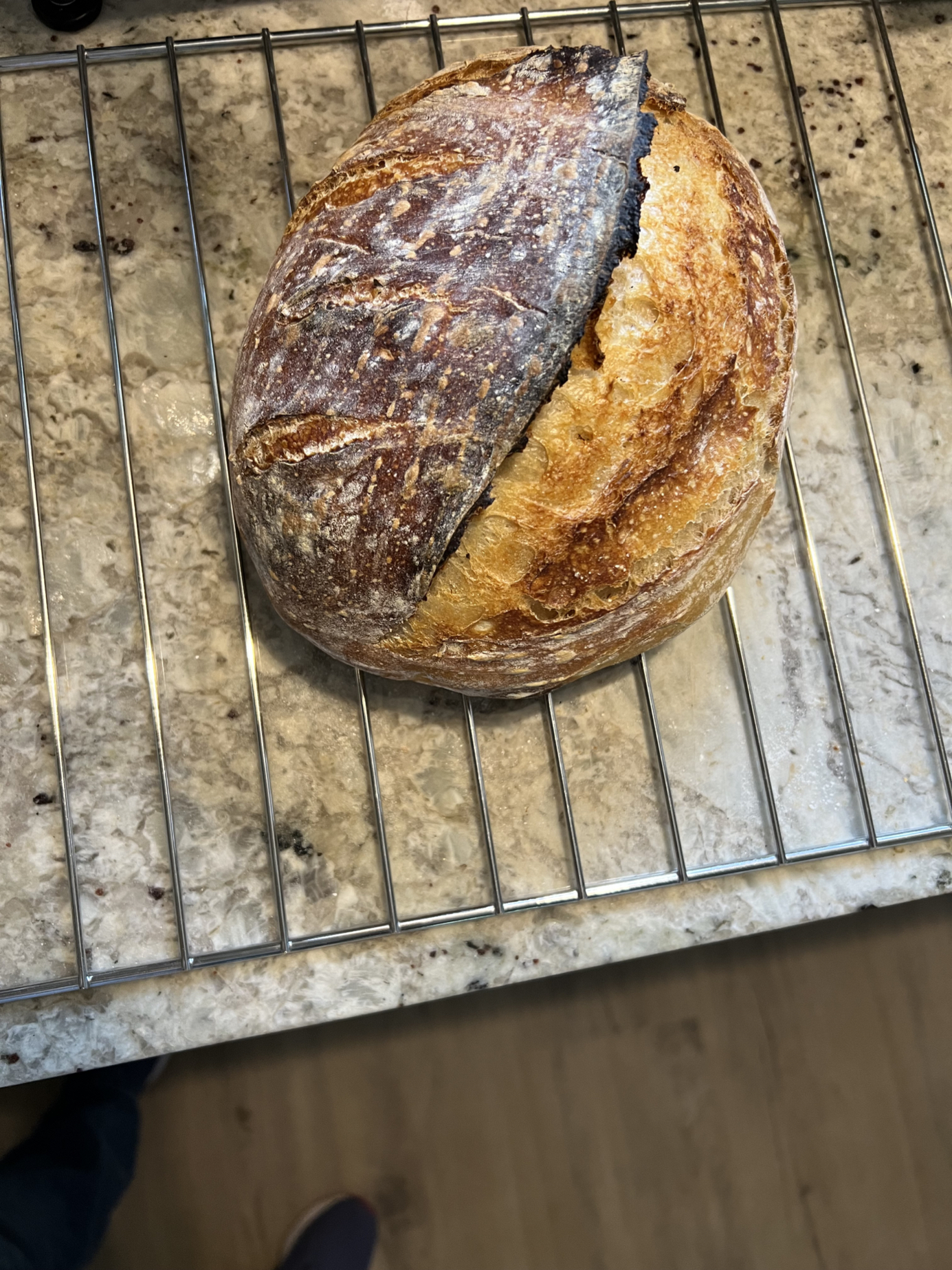 Anna • Nourishing Seed Microbakery — photo from hotplate.com
