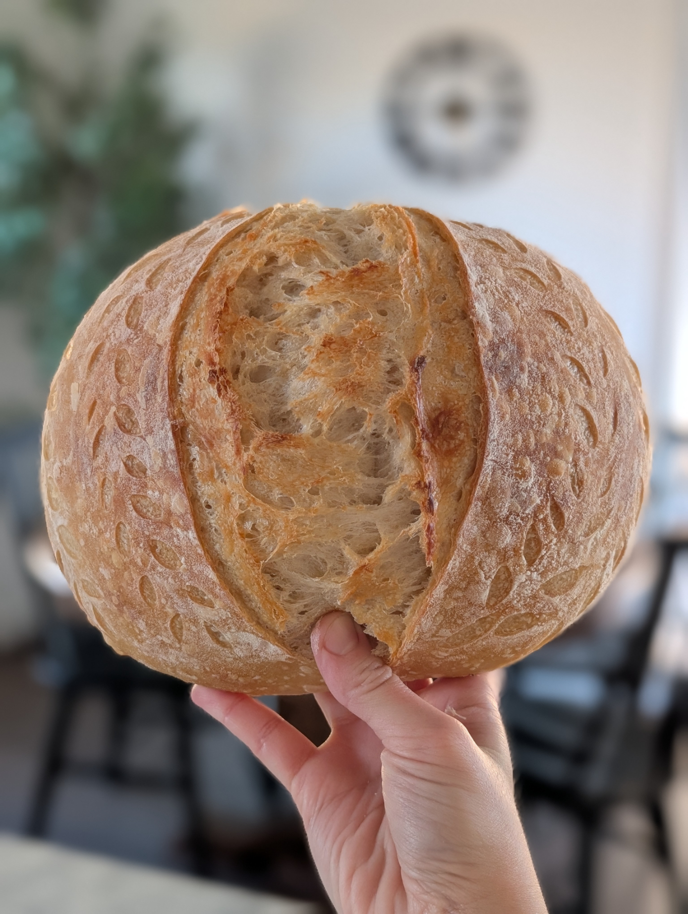 Rise & Bake Bakery — photo from hotplate.com