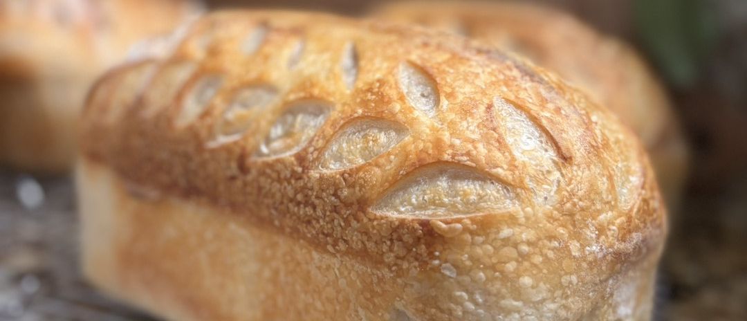 Flour and Sun Home Bakery — photo from hotplate.com