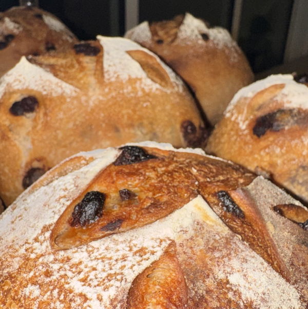 Mini Cinnamon Raisin Twist