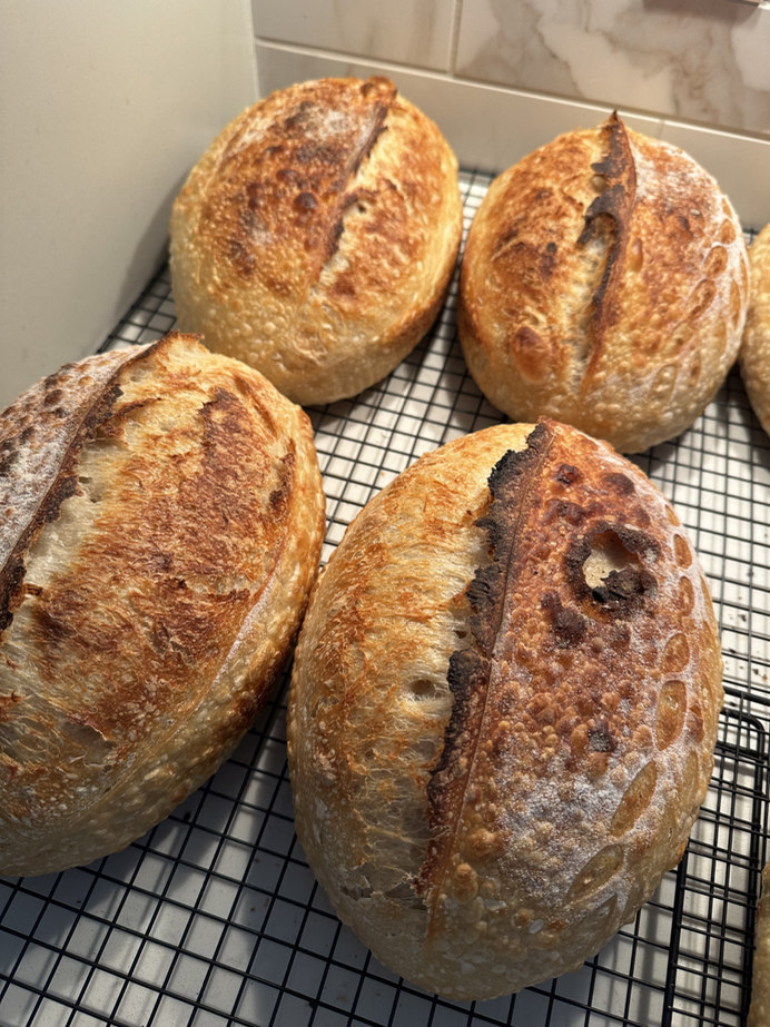 Perfectly Proofed I Sourdough Microbakery🌾 — photo from hotplate.com