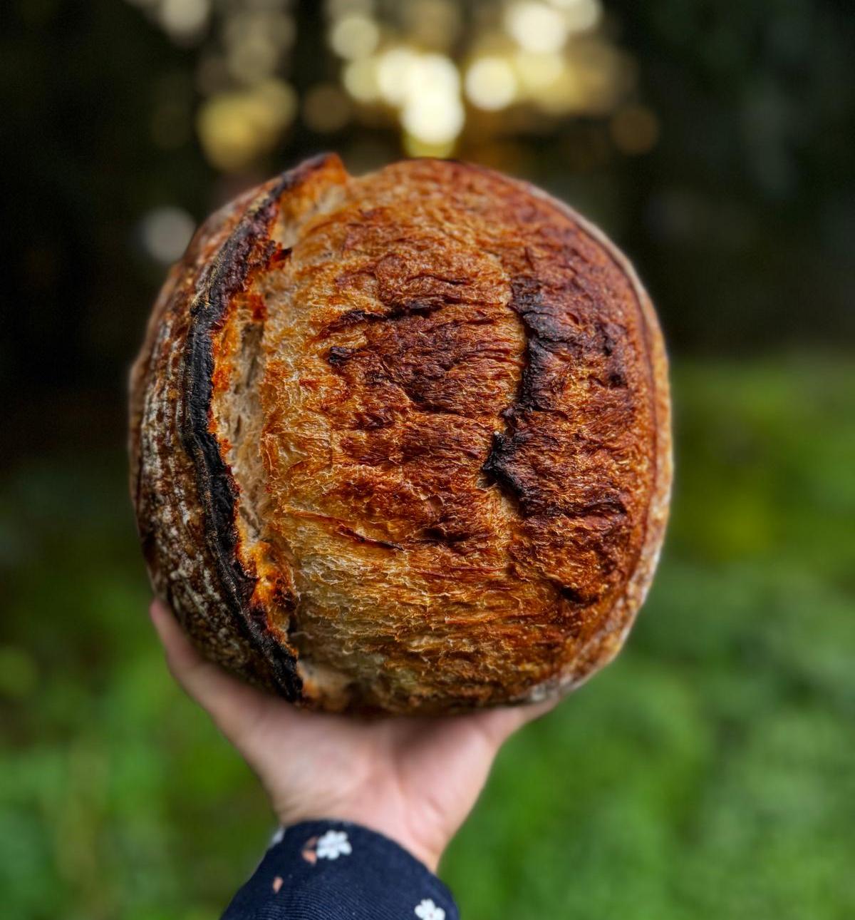 Nammi • The Spiced Oven • Bakery in Sherwood OR — photo from hotplate.com
