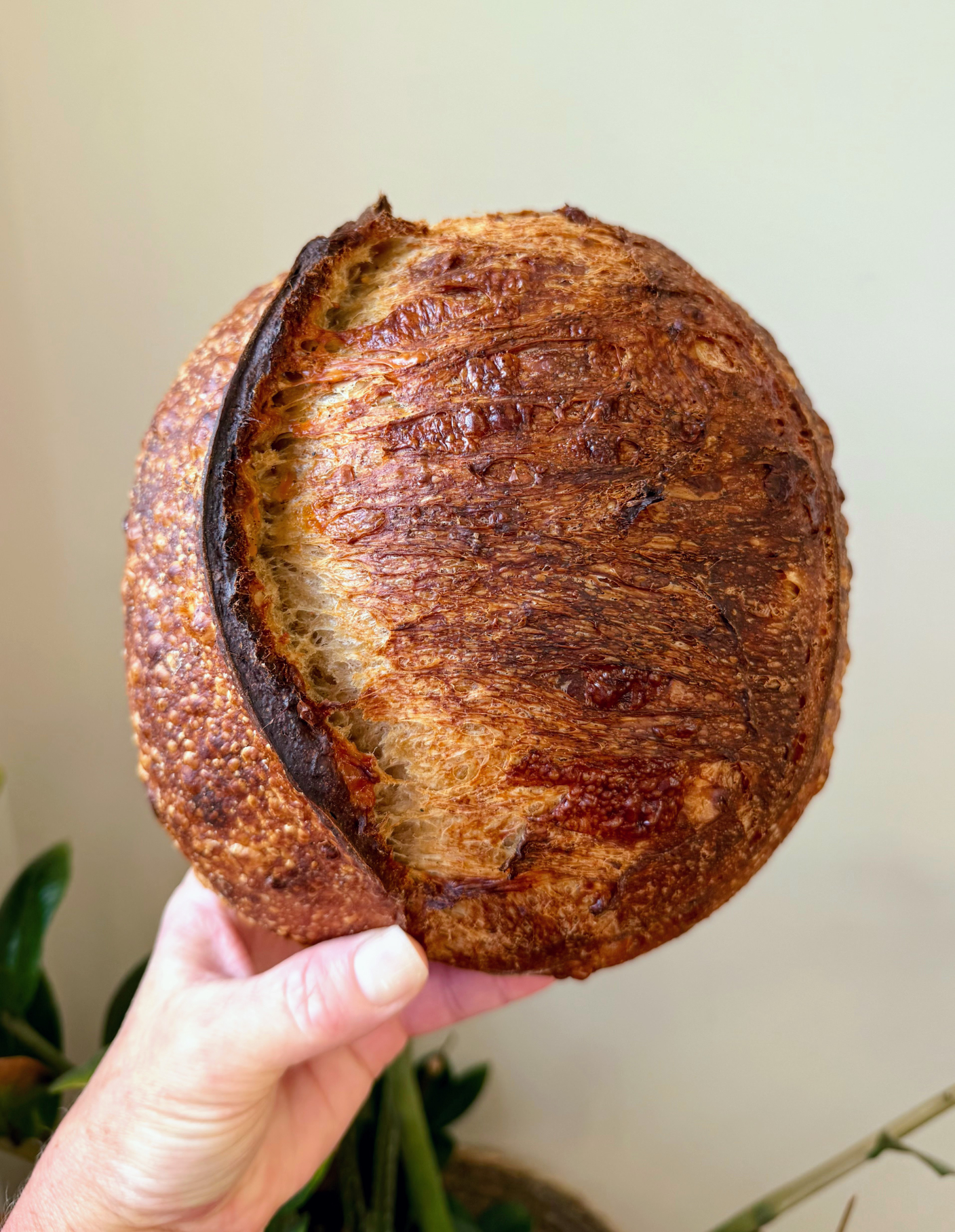 Lovely Rita’s Artisanal Sourdough Breads & Bakes — photo from hotplate.com