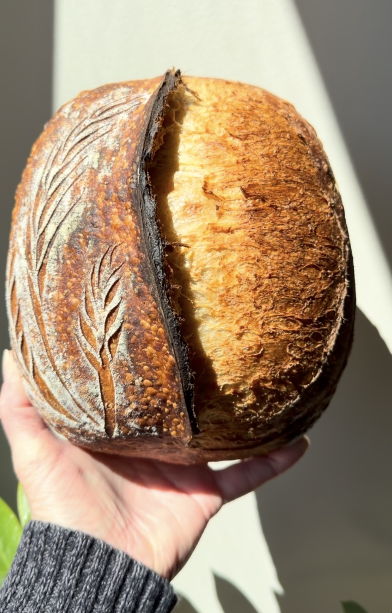 Lovely Rita’s Artisanal Sourdough Breads & Bakes — photo from hotplate.com