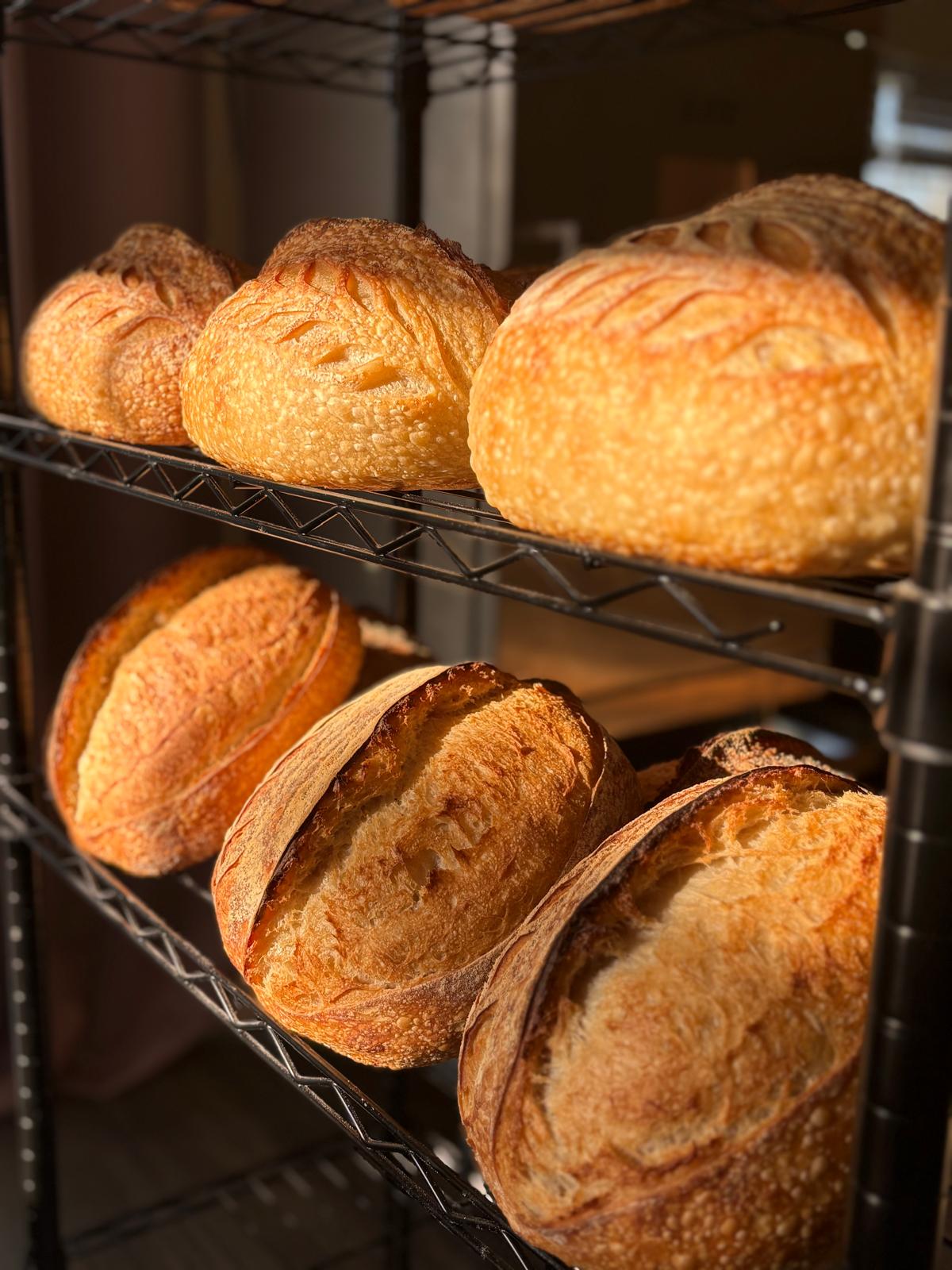 Nammi • The Spiced Oven • Bakery in Sherwood OR — photo from hotplate.com