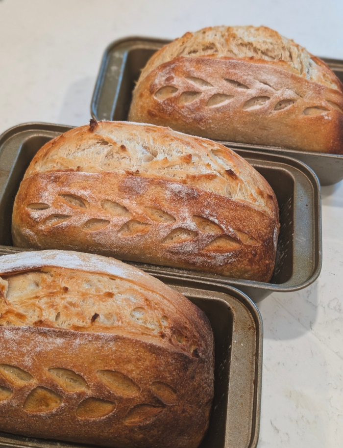 HappyDough: A Sourdough Microbakery — photo from hotplate.com