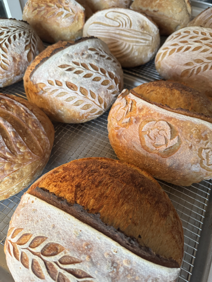 The Doughoe: Micro Bakery Selling ART•isan Sourdough Breads — photo from hotplate.com