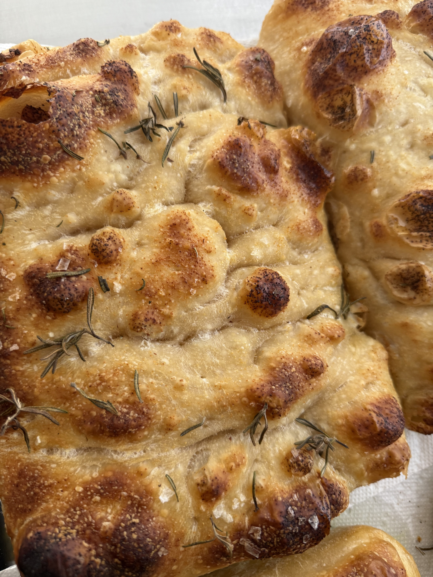 The Dough Girl | Sourdough Bakery — photo from hotplate.com