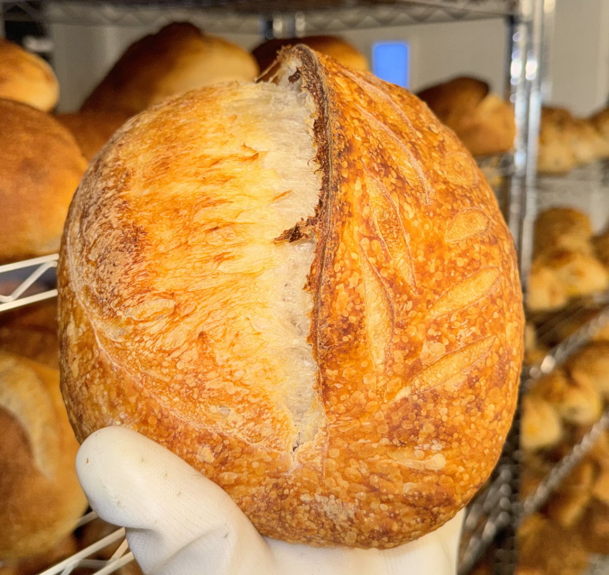 Freshly baked artisan sourdough bread from Pink Table bakery