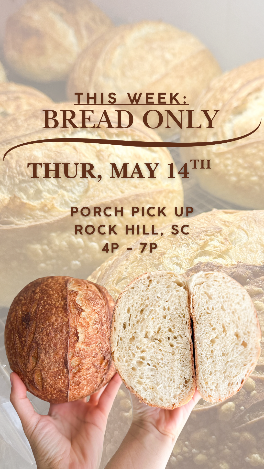 The Daily Dough — photo from hotplate.com
